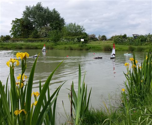 Model boats enjoying our orchard carp lake